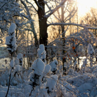 Schnee in Neuseeland