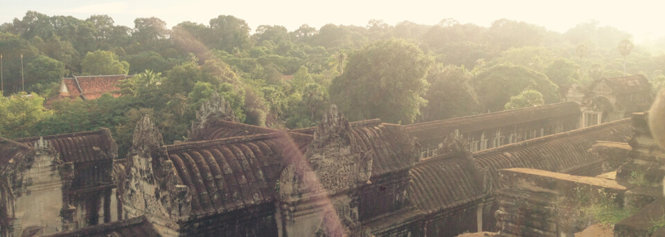 Dschungel um Angkor Wat