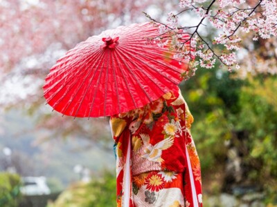  Japan Reise zur Kirschblüte