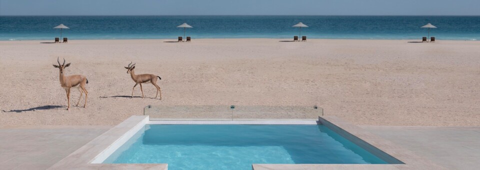 Beach Pool Villa im Anantara Sir Bani Yas Island Al Yamm Villa Resort mit Blick auf das Meer