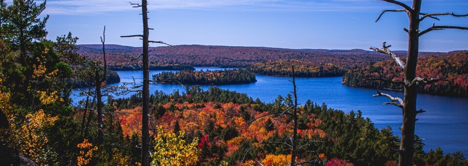 Algonquin Park Panorama