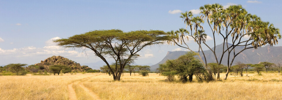 Landschaft im Masai Mara