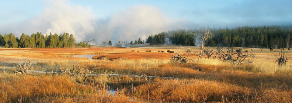 Yellowstone Nationalpark