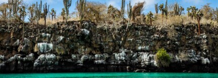 Abenteuer auf den Galápagos-Inseln – Schnorcheln & Seelöwen