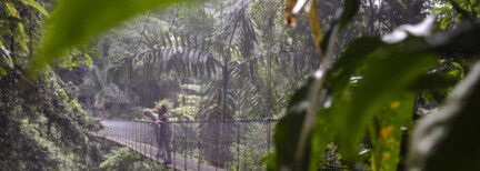 Costa Rica kompakt – Tierwelt & Tropenparadies (G)