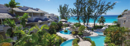 Bougainvillea Barbados