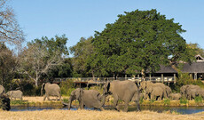 Sabi Sabi Private Game Reserve