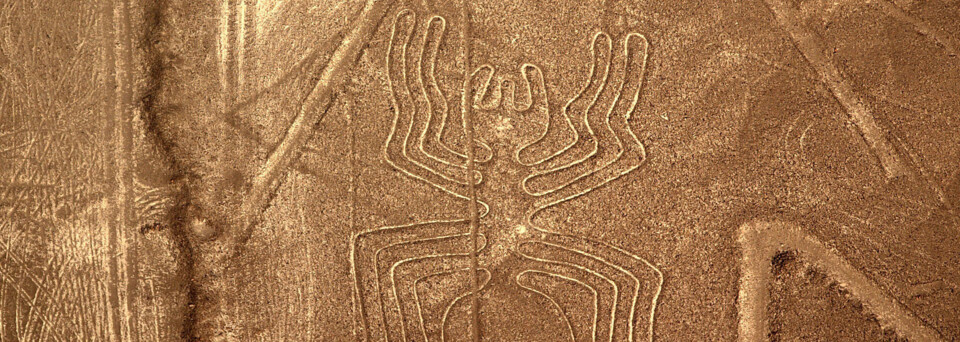 Nazca Linien in Form einer Spinne