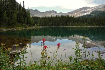 Linda Lake im Yoho Nationalpark Kanada