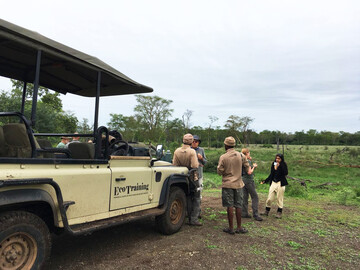 Reisebericht Südafrika - Safari im Jeep