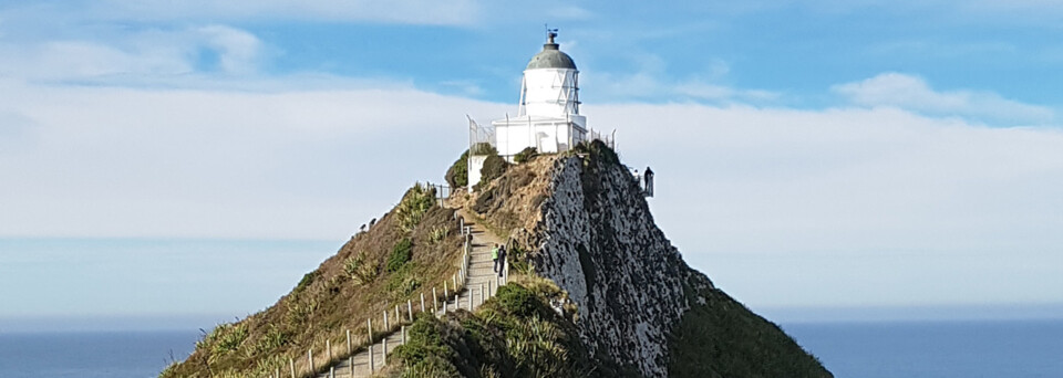 Neuseeland Reisebericht: Curio Bay Nugget Point Leuchtturm