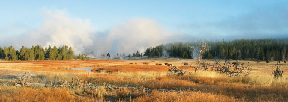 Landschaft im Yellowstone Nationalpark