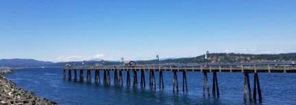 Bärenbeobachtung in Campbell River