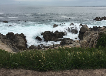 Reisebericht Kalifornien - Pacific Grove