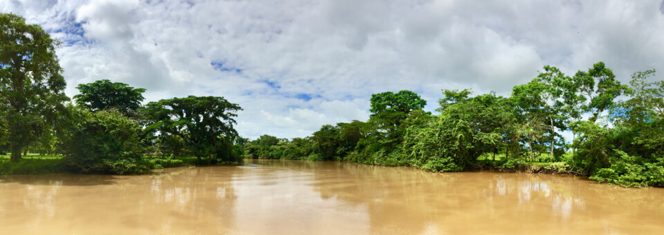 Costa Rica Reisebericht - Caño Negro