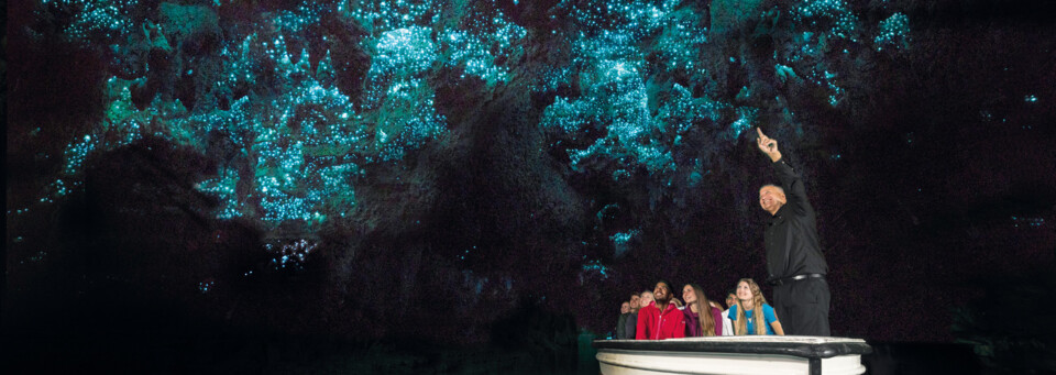 Waitomo Glowworm Höhlen