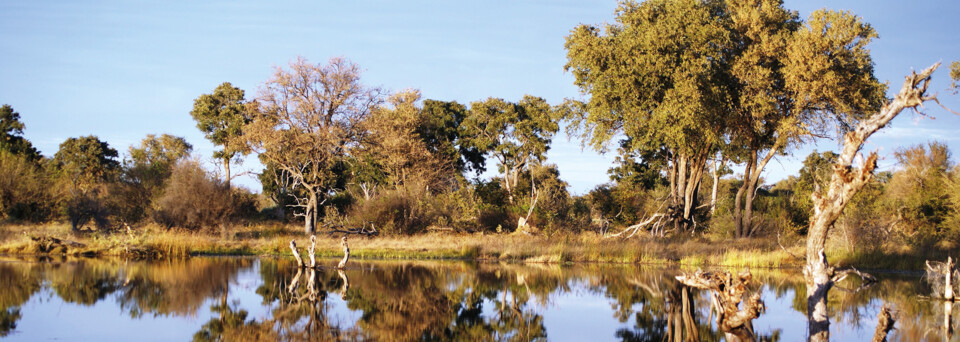 Khwai River in Botswana