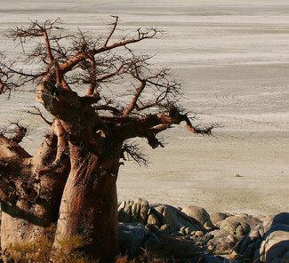 iStock-Botswana-Makgadikgadi-Salzpfannen-©iStock-estivillml.jpg iStock-Botswana-Makgadikgadi-Salzpfannen-©iStock-estivillml.jpg