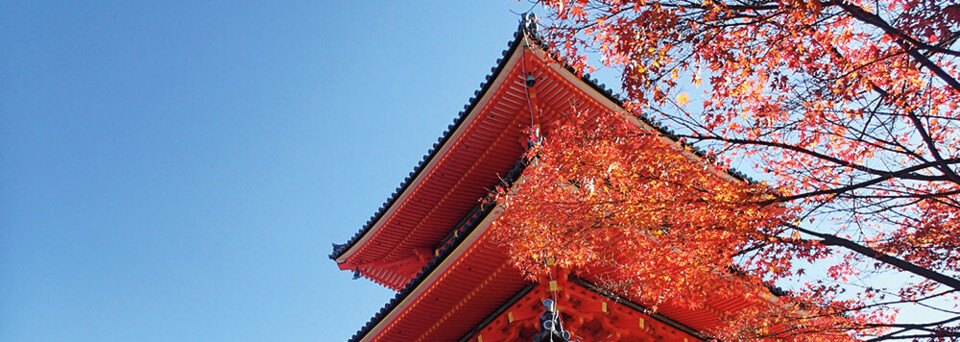 Tempel in Kyoto im Herbst