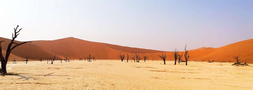 Namib-Wüste