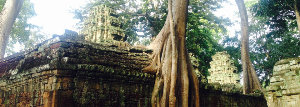 Ta Prohm