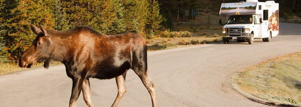 Nationalpark Kanada