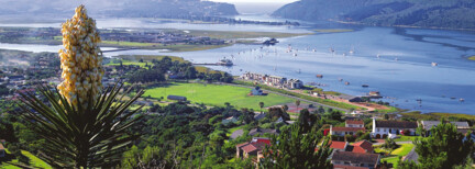 Höhepunkte der Gartenroute von Kapstadt nach Port Elizabeth