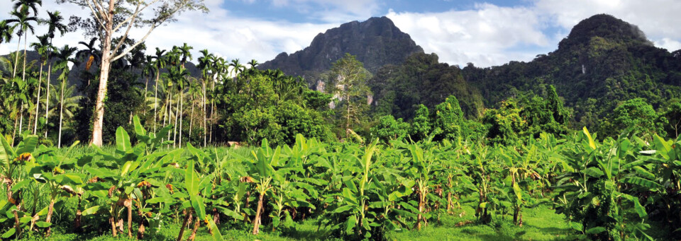 Khao Sok Nationalpark