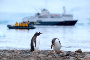 Antarktis Kreuzfahrt buchen