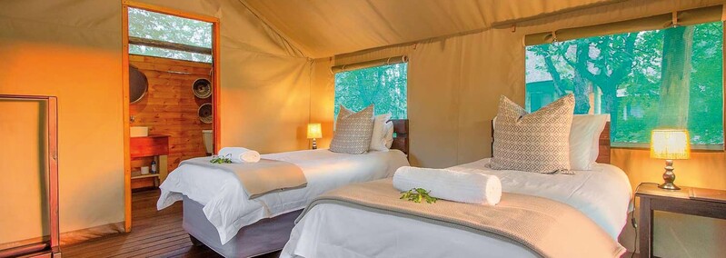 Zeltbeispiel des Shindzela Tented Safari Camp