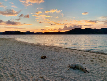 Palawan Insel Sonnenuntergang 