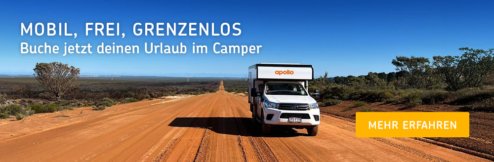 THL Camper Urlaub Banner