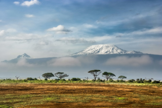 Amboseli National Park, Kenia