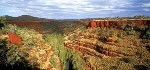 Hamersley Gorge im Karijini Nationalpark