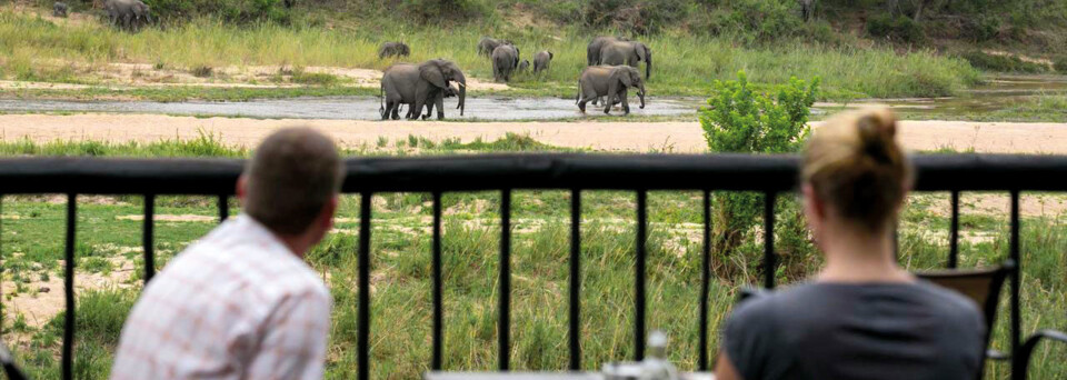 Elefantenbeobachtung Umkumbe Safari Lodge Sabi Sands Wildreservat