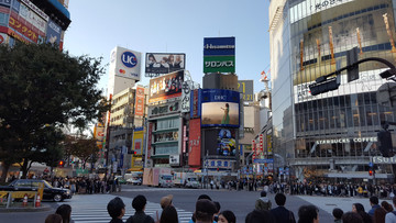 Reisebericht Japan - Kreuzung im Stadtbezirk Shibuya in Tokyo