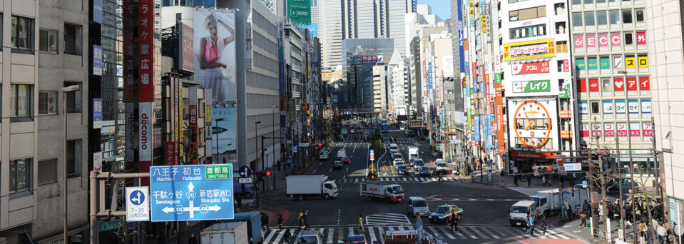 Tokyo Skyline