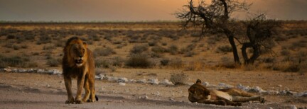 Vom Kap nach Namibia