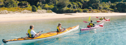 Busrundreise "Bay of Islands erleben"