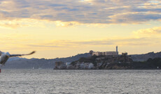 Hop-on und Hop-off Pass & Madame Tussauds & Alcatraz 