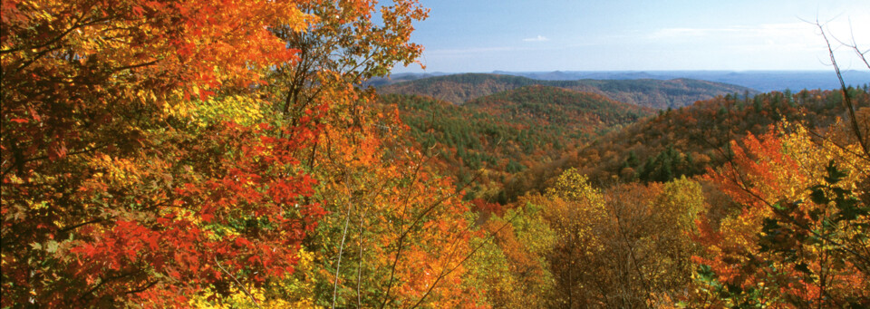 Indian Summer South Carolina