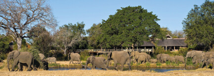 Sabi Sabi Private Game Reserve