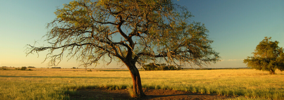 Landschaft in Uruguay