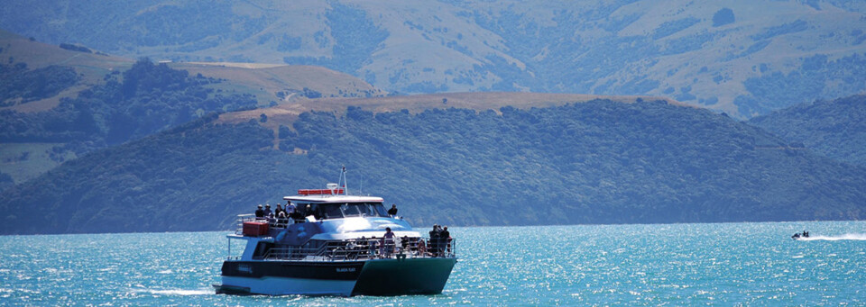 Akaroa Bootstour