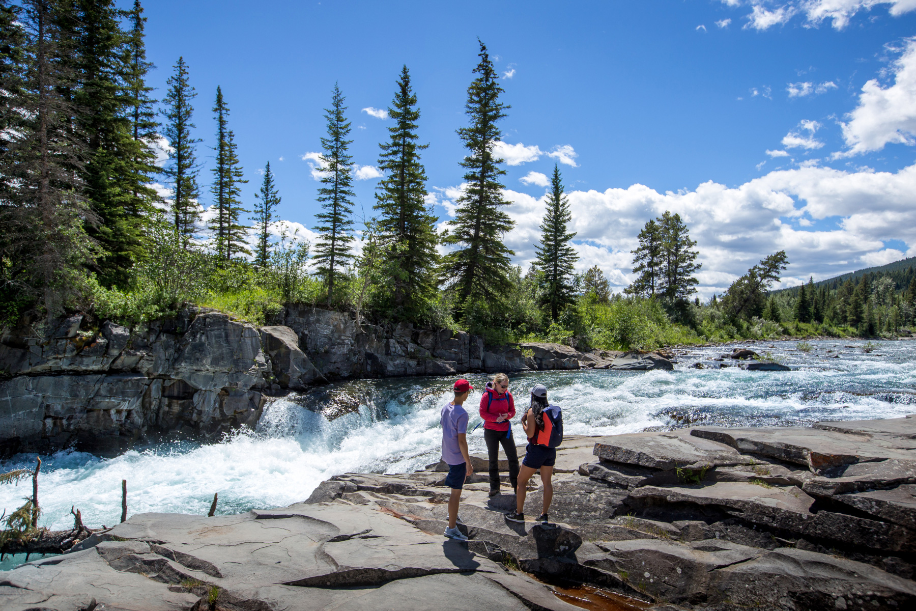 Wanderer in Alberta