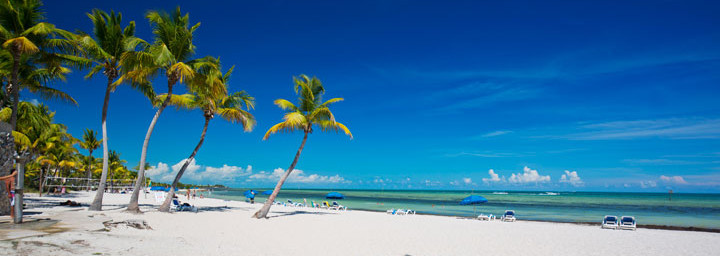 Florida Keys Strand mit Volleyballfeld