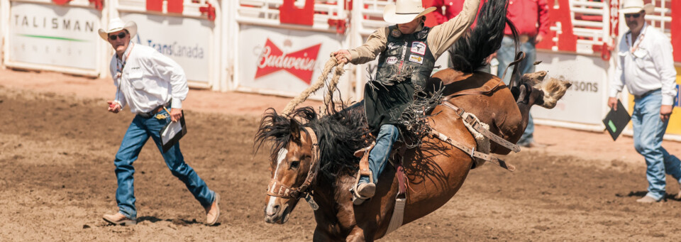 Calgary Stampede