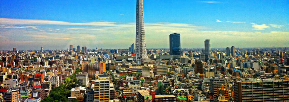 Tokyo Skyline