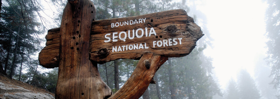 Sequoia Nationalpark