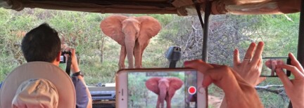 Erlebnisreise durch den Süden Afrikas